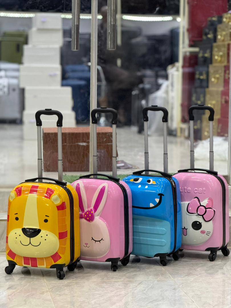 Luggage 